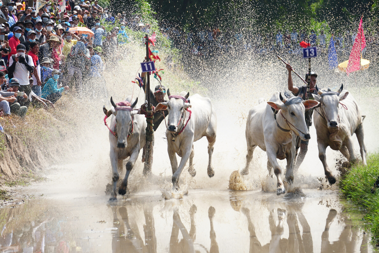 Bay Nui Cow Race Festival – An Giang